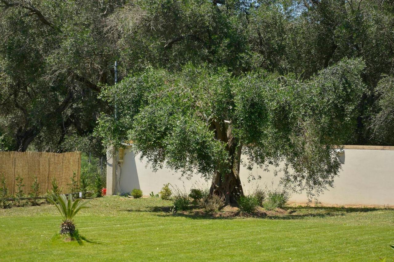 La Casa Del Sole Vila Halikounas Exterior foto